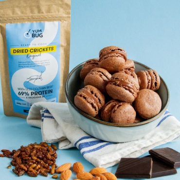 Put insect flour in foods to tackle disgust factor