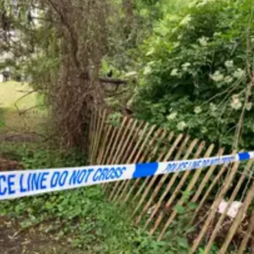 Man detained and knife seized after a number of people injured in stabbing