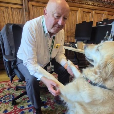 Parliamentary pup Jennie loves a good lie down in the Commons chamber