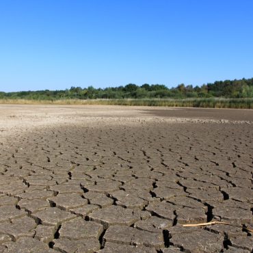 Drought is top threat for UK nature refuges as climate changes charities warn