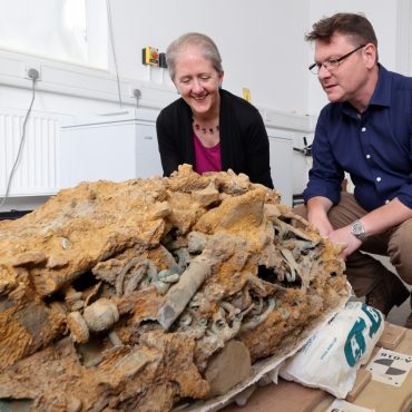 Huge Iron Age hoard could alter understanding of ancient elites