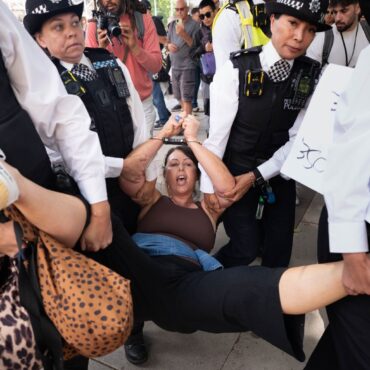 Police Arrest 466 People Over Palestine Action Support At Protest