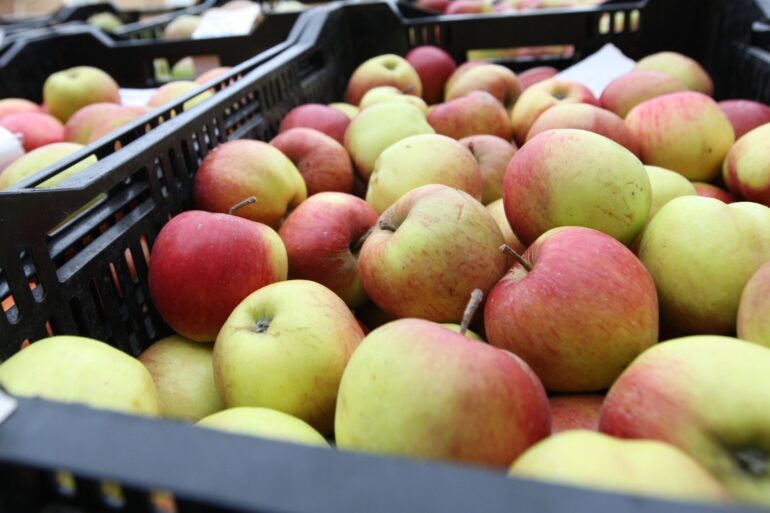Eating Fruit Could Slash Effects Of Air Pollution On The Lungs