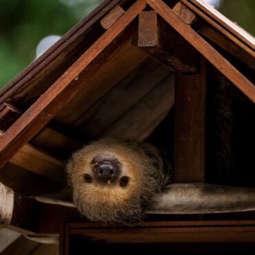Ed Miliband Urges Unity Around Green Policies