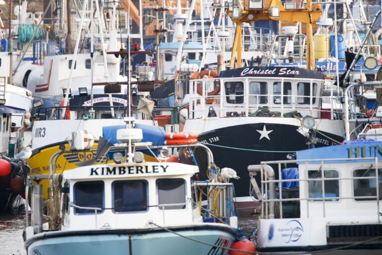Post Brexit Law Failing To Help Fish Stocks And Communities Government Warned