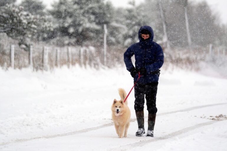 Coldest Night Of Season Recorded In Most Of UK As Snow Forces School Closures