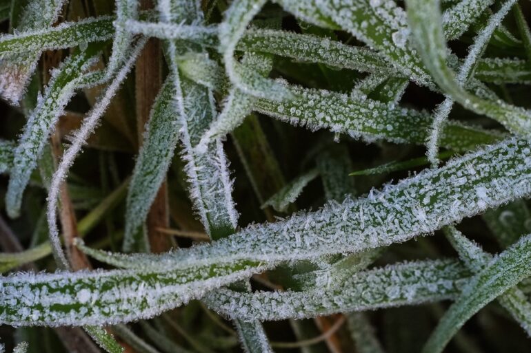 Cold Health Alert Issued For Christmas Day