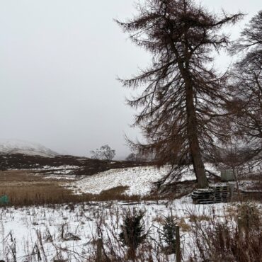 Council Declares Major Incident As Heavy Snow Continues