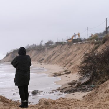 Government Criticised For Glacial Pace Writing UN High Seas Treaty Into Law
