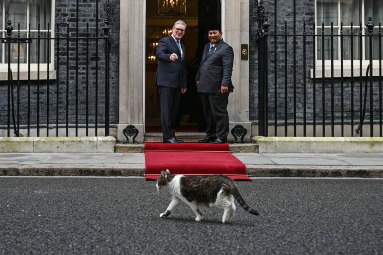 Larry The Cat Marks 15 Years As No 10s Chief Mouser