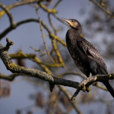 Further Yellow Snow And Ice Warnings To Come Into Force Across Much Of UK