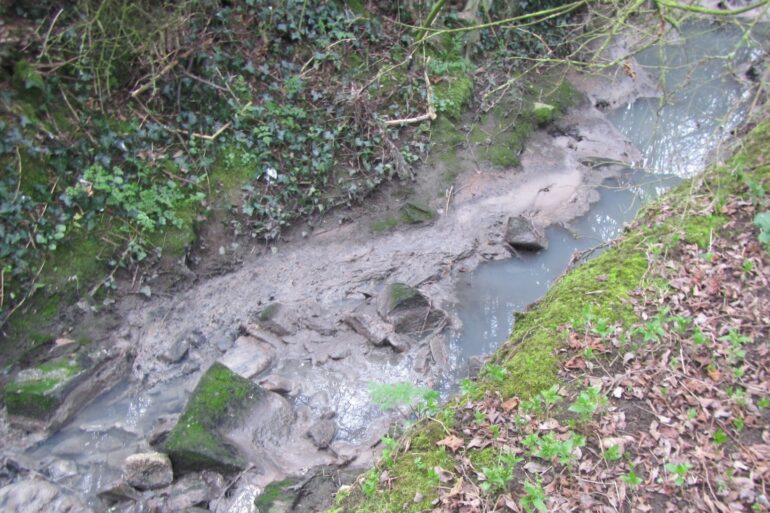 Water Firm Fined For Polluting Stream With Sewage Three Times In A Year